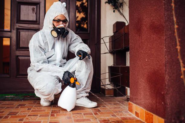 Reliable Wasp Removal contractor in Panama City, FL by Show Me Pest Control